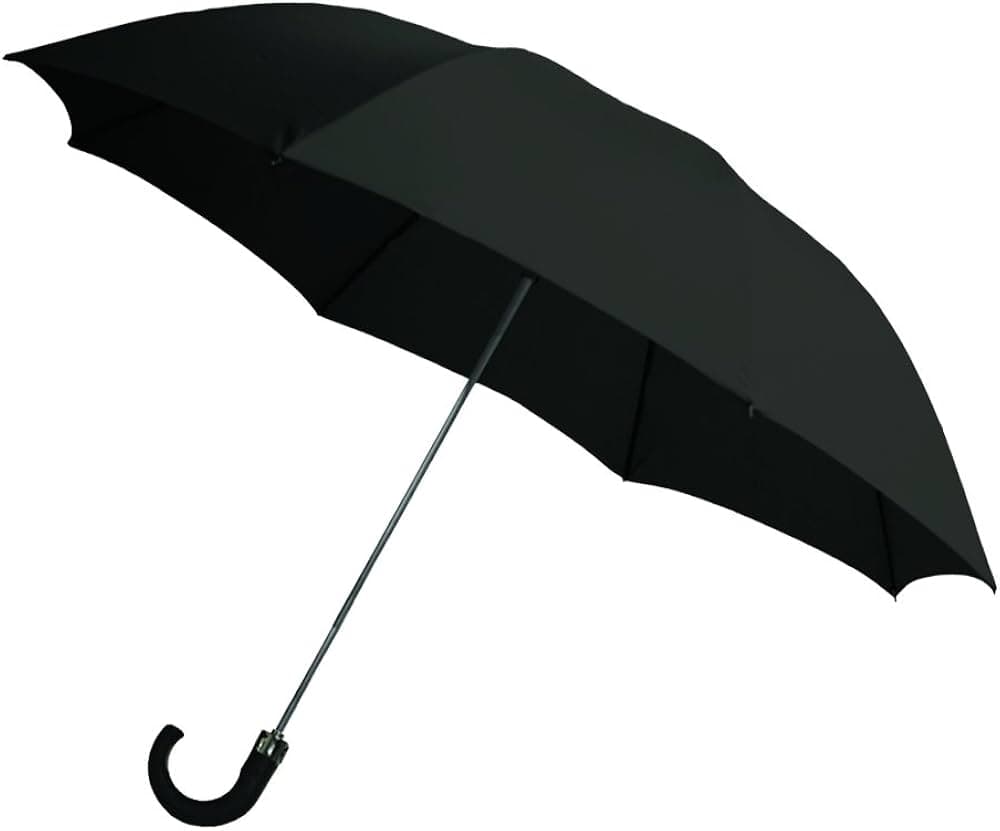 Sturdy Umbrella